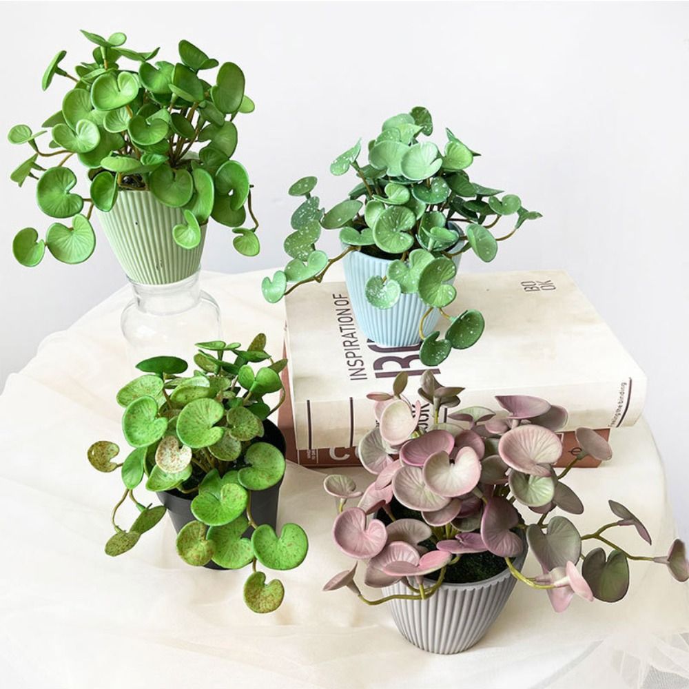 Interior Design Office - กาวนุ่มประดิษฐ์ EVA สีเขียว Succulent พืชใบแขวนผนัง Home