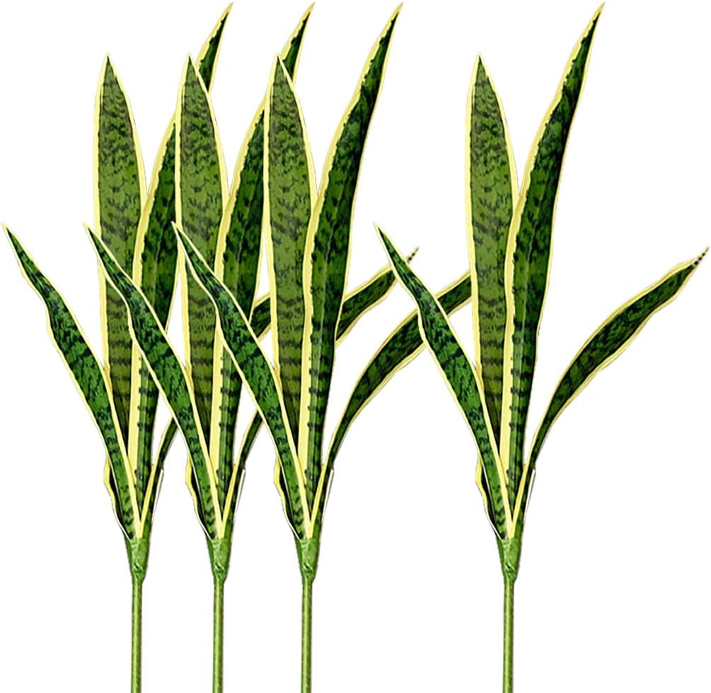 ต้น Sansevieria เทียมงูปลอม4ชิ - Interior Design Office บทวิจารณ์และราคา