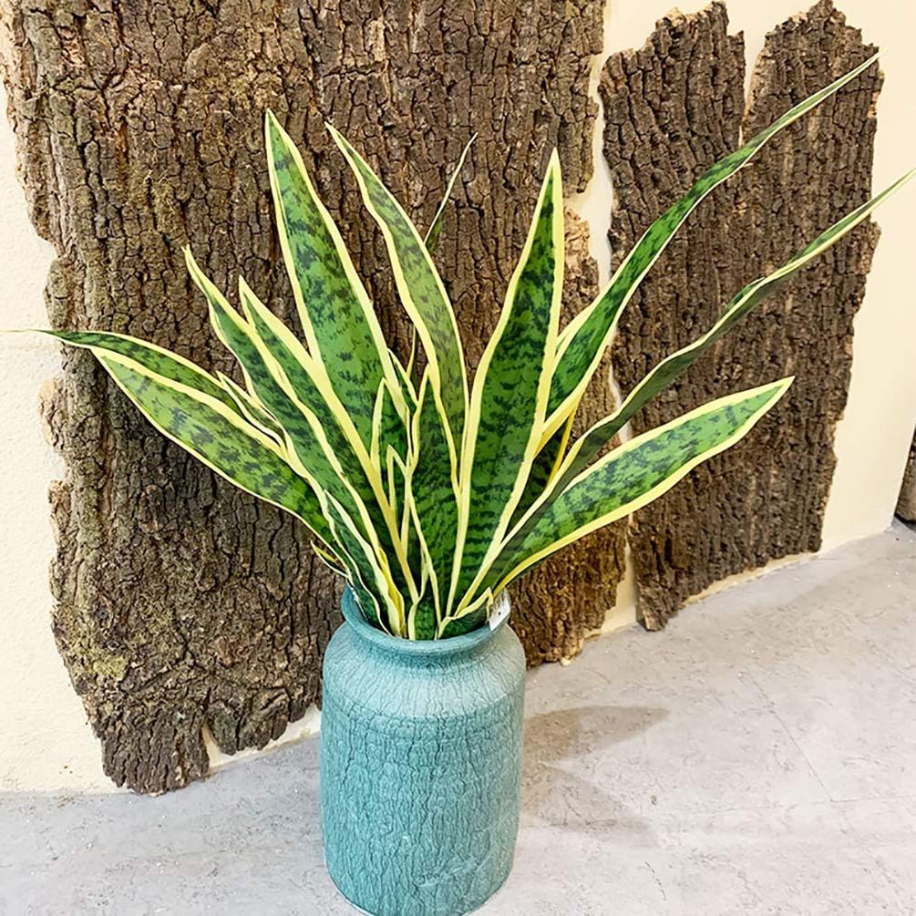 ต้น Sansevieria เทียมงูปลอม4ชิ - Interior Design Office บทวิจารณ์และราคา