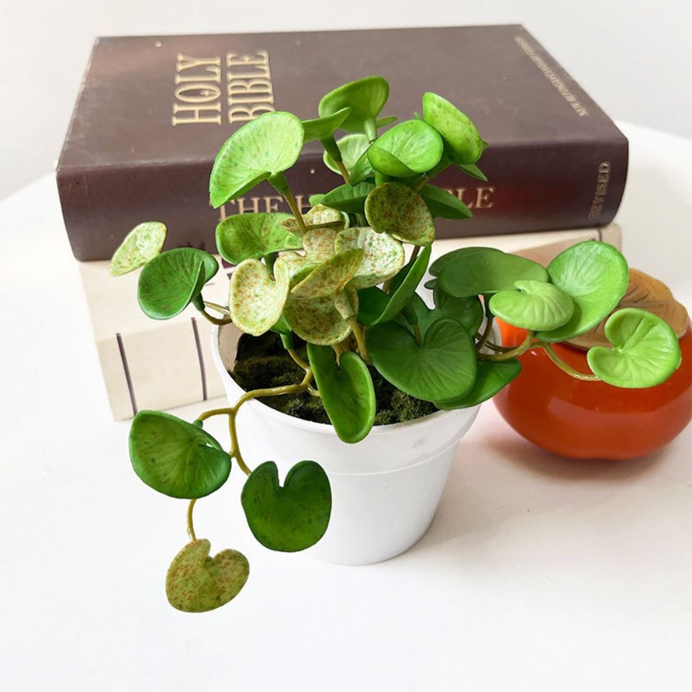 กาวนุ่มประดิษฐ์ EVA สีเขียว Su - Interior Design Office บทวิจารณ์และราคา